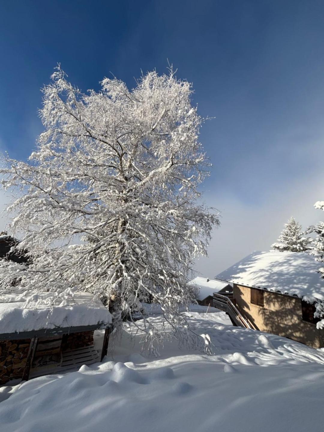 Chalet Rouge Ou Blanc Villard-Reculas Dış mekan fotoğraf