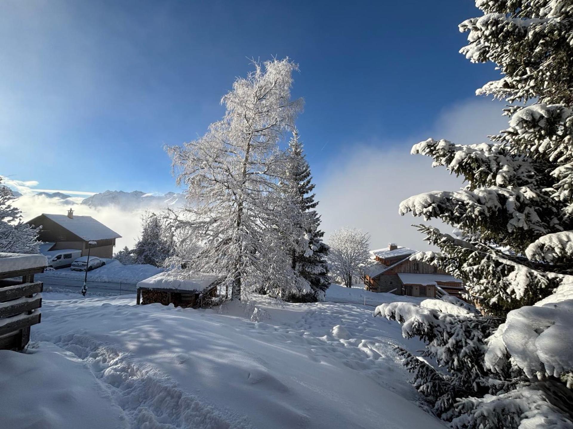 Chalet Rouge Ou Blanc Villard-Reculas Dış mekan fotoğraf